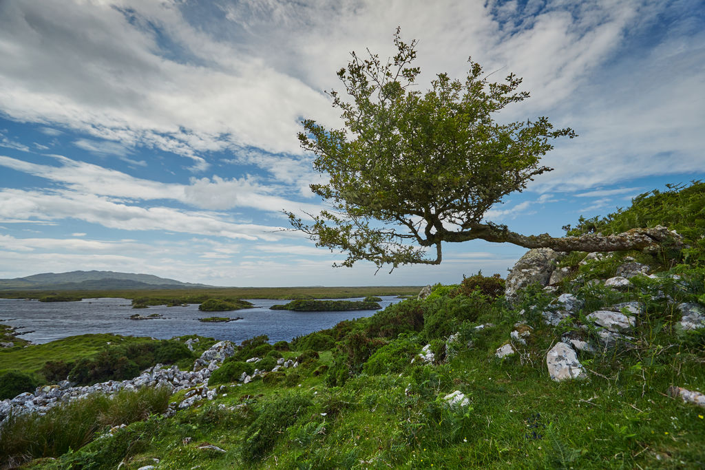 Connemara - ph. Big Smoke Studio - Turismo Irlandese