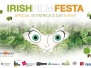 IRISH FILM FESTA ST.PATRICK\'S DAY 2013